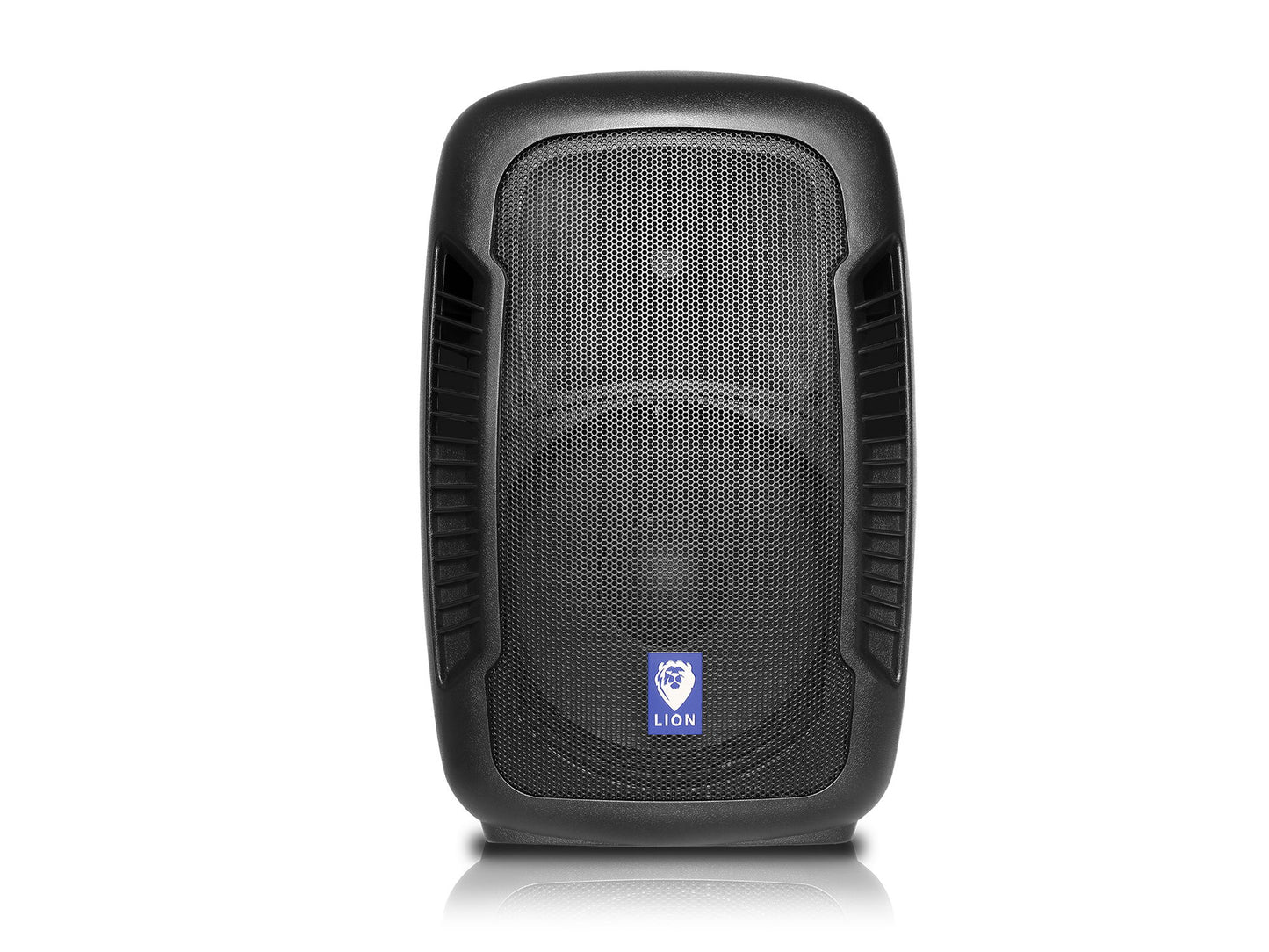 Professional 15" Speaker - Black