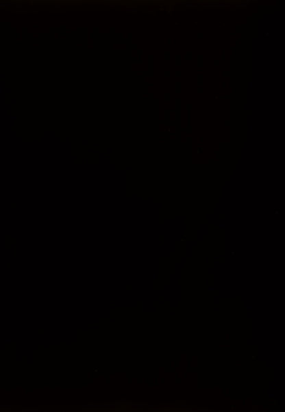 Kimonte - Rectangular Dining Room Table - Dark Brown